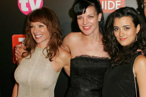 The Leading Ladies Of Ncis What Are They Doing Now Cleverst